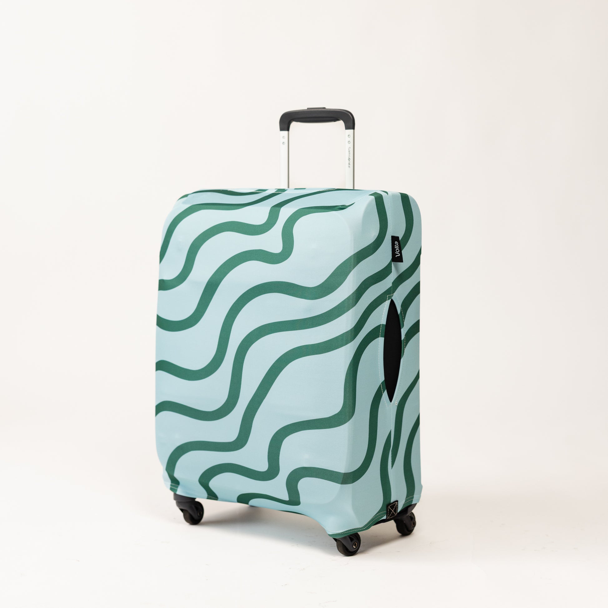 Luggage Cover Blue and Green